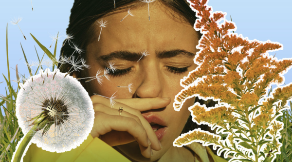 Navigation to Story: Allergy Season Inside and Outside of the Emery Community